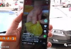 高州最新抖音爆料,揭秘当地热门事件背后的真相！”